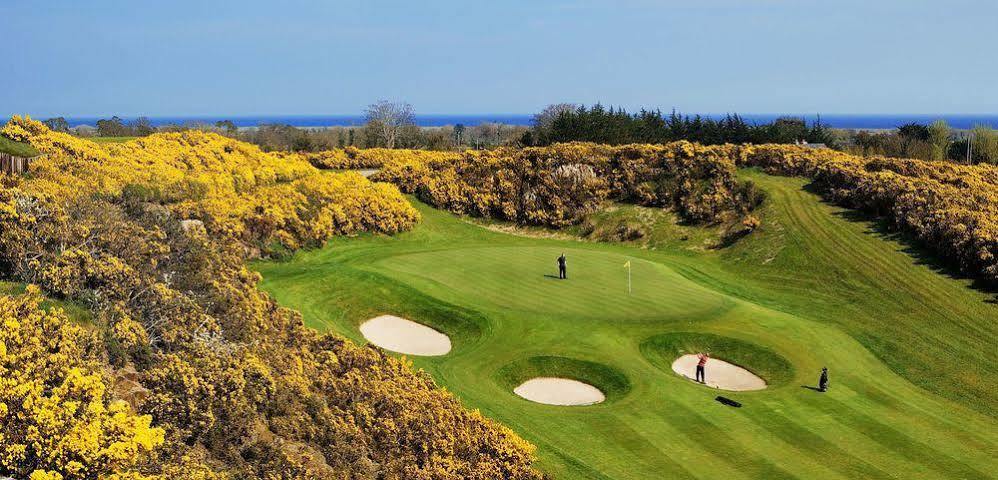 Druids Glen Resort Newtown Mount Kennedy Exterior foto